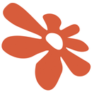 Trendi Blumen und mehr. APK