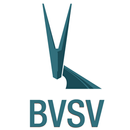 BVSV e.V. APK