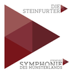 Die Steinfurter icono