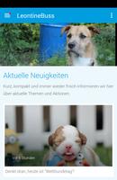 Berliner Hundetraining Affiche