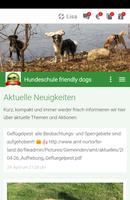 Hundeschule friendly dogs 포스터