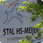 HS-Meijer ícone