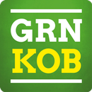 Grüne Stadtrat Koblenz APK