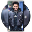 Wallpapers for The Weeknd HD