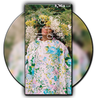 Wallpapers for Lizzo HD ikona