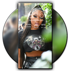 Wallpapers for Megan Thee Stallion HD أيقونة