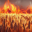 Burn Them All ikona