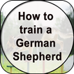How to Train a German Shepherd