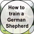 How to Train a German Shepherd icône