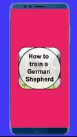 How to Train a German Shepherd Affiche