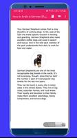 برنامه‌نما How to Train a German Shepherd عکس از صفحه