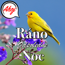 Dobré ráno na dobrou noc lásko APK