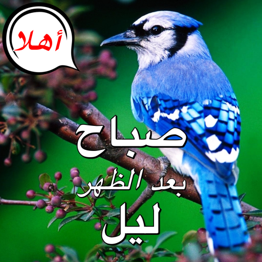 Arabic Good Morning to Night