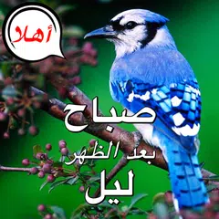 Arabic Good Morning to Night Icon