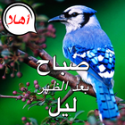 Arabic Good Morning to Night icon