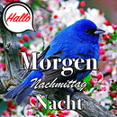 Guten Morgen bis Nacht Wünsche APK