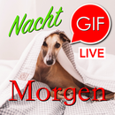 Guten Morgen & Nacht Gifs APK