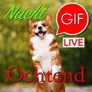 Goedemorgen en nacht-gifs APK