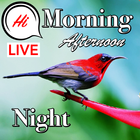 Good Morning to Night Wishes biểu tượng