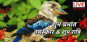 गुड मॉर्निंग टू नाइट लव