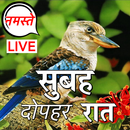 गुड मॉर्निंग टू नाइट लव APK