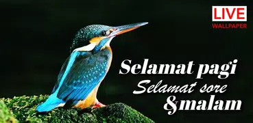 Ucapan Selamat Pagi & Malam