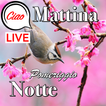 Buon mattino a notte amore