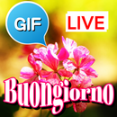 Buona Gif di tutti i giorni APK