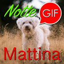 Gif di mattina e notte APK