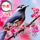 日本のおはよう午後とおやすみの願い APK