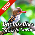 Spanish Good Morning Afternoon & Good Night Wishes