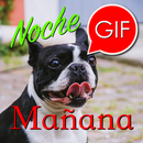 Gifs De Buenos Días Y Noches APK