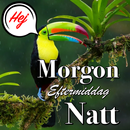 God morgon till natt kärlek APK