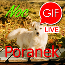 Gify na dzień dobry i na noc APK