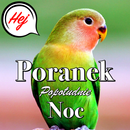 Dzień dobry do nocnej miłości APK