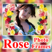 Beautiful Rose Flower Photo Fr