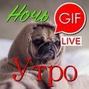 Доброе утро и ночь гифки APK