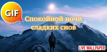 Russian Good Night Gif Images