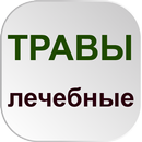 Лекарственные травы и настойки APK