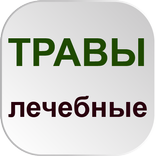 Лекарственные травы и настойки