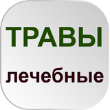 Лекарственные травы и настойки icône