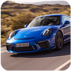 ikon Porsche 911 GT Driving Simulat