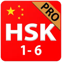 Learn Chinese Language 📚 HSK Test Vocabulary APK download