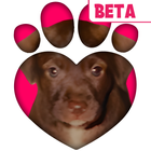 TREAT: Play & impact REAL dogs icon