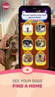 برنامه‌نما TREAT: Play & impact REAL dogs عکس از صفحه