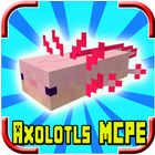 Mod Axolotls para Minecraft PE icono
