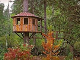 Tree House Design poster