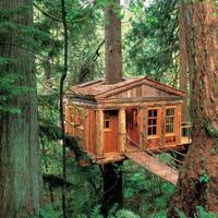 Tree House Design screenshot 1