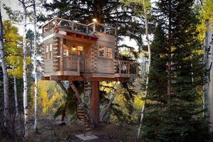 Tree House Design screenshot 3