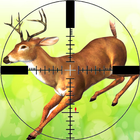 Deer Jungle Hunting : advance deer hunter classic icon